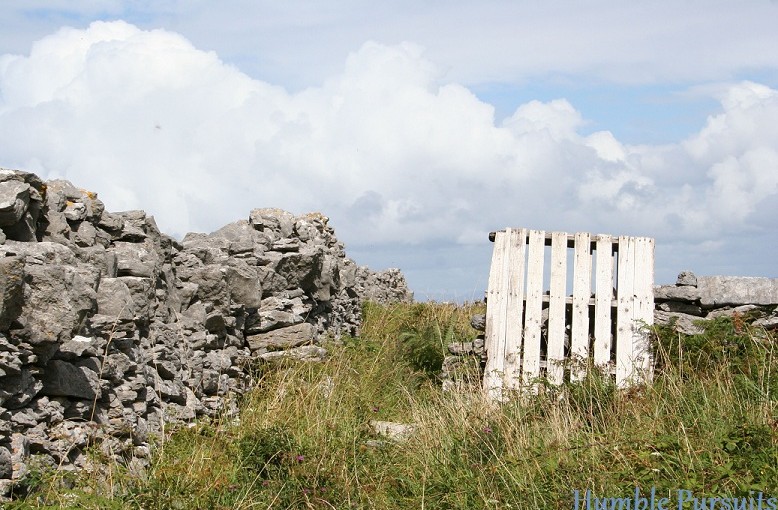 Irish field, fence, and gate