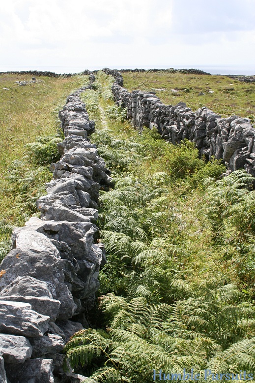 Irish stone fence, pathway