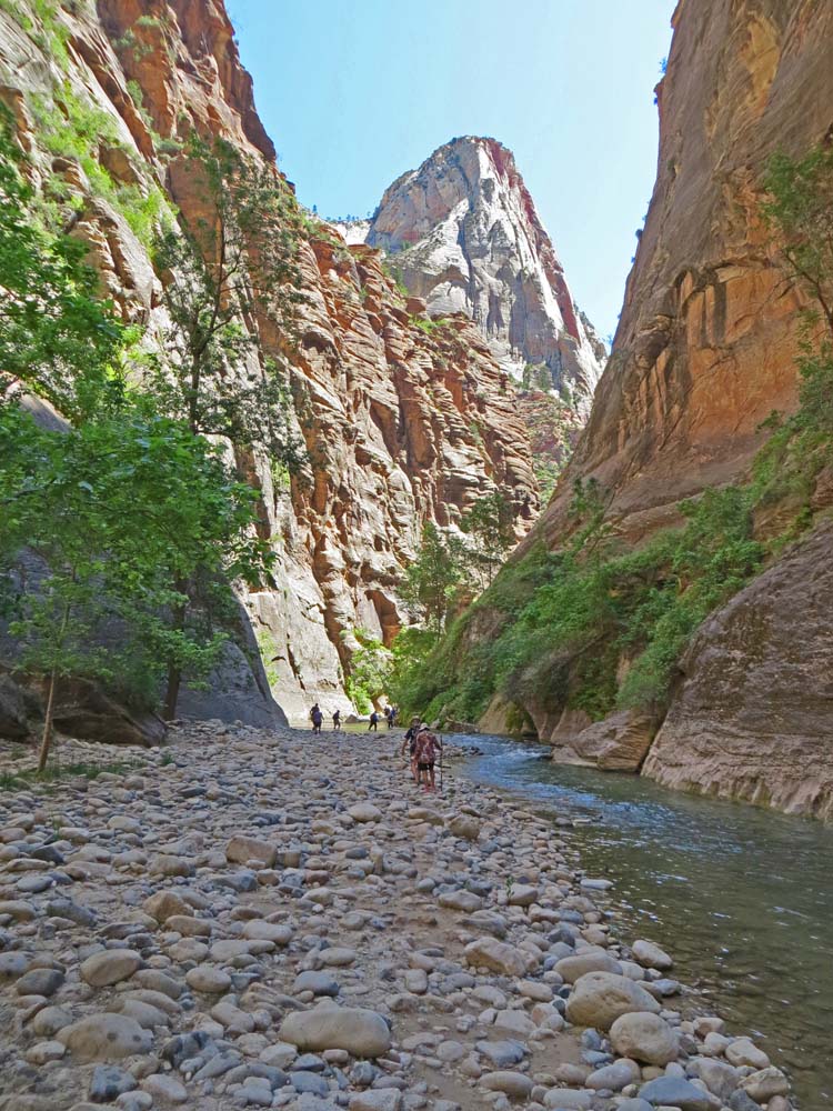 Must See In Zion National Park